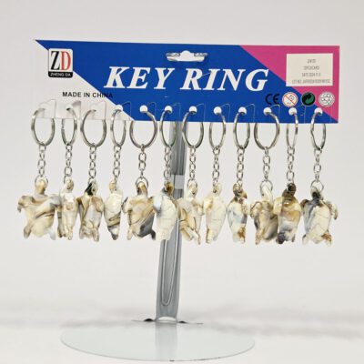 Sleutelhanger | Schildpad | 12pcs